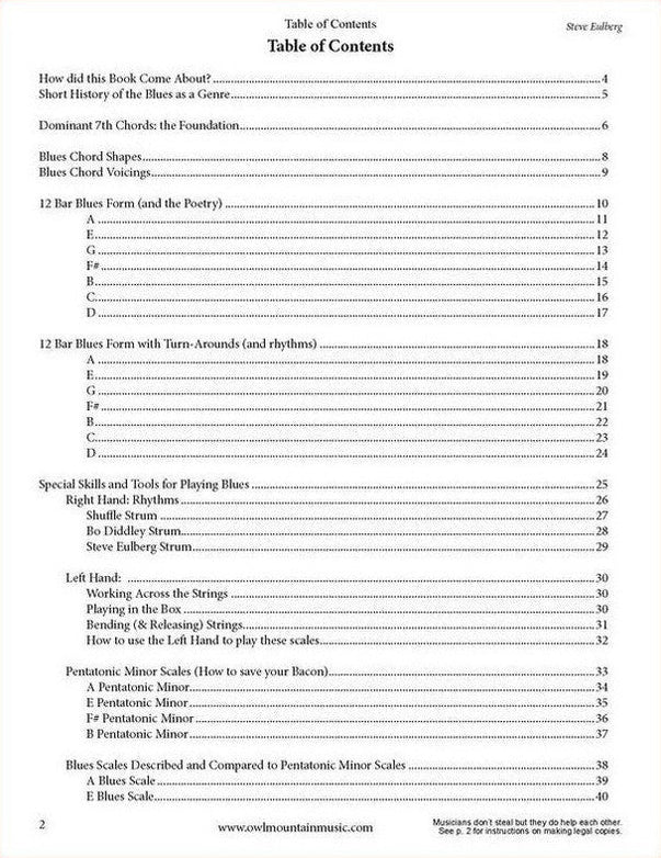 Steve Eulberg - Playing Blues On The Mountain Dulcimer-Fingers Of Steel-PDF-Digital-Download