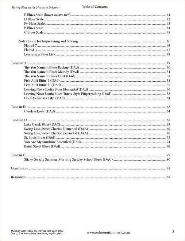 Steve Eulberg - Playing Blues On The Mountain Dulcimer-Fingers Of Steel-PDF-Digital-Download