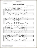 Steve Eulberg - Playing Blues On The Mountain Dulcimer-Fingers Of Steel-PDF-Digital-Download