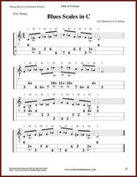 Steve Eulberg - Playing Blues On The Mountain Dulcimer-Steve Eulberg-PDF-Digital-Download