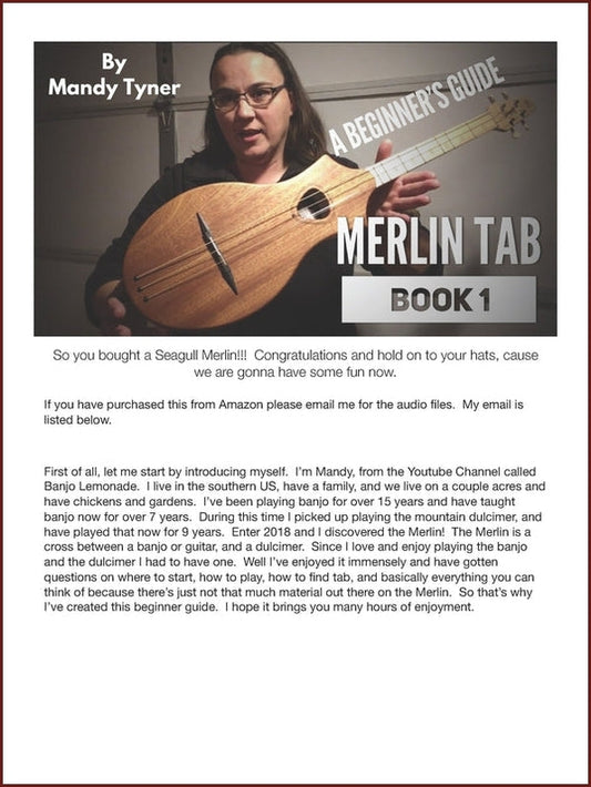 Cover of Seagull Merlin Tab Book 1 by Mandy Tyner