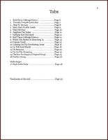 Mandy Tyner - Strummer's Delight: Beginning Dulcimer In DAA Tuning-Banjo Lemonade-PDF-Digital-Download