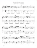Aaron O'Rourke - Irish Session Tunes, Volume 2-Fingers Of Steel-PDF-Digital-Download