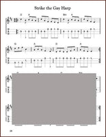 Aaron O'Rourke - Irish Session Tunes, Volume 2-Fingers Of Steel-PDF-Digital-Download