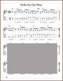 Aaron O'Rourke - Irish Session Tunes, Volume 2-Fingers Of Steel-PDF-Digital-Download