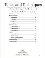 Aaron O'Rourke - Tunes & Techniques - Old Grey Cat On A Tennessee Farm-Fingers Of Steel-PDF-Digital-Download