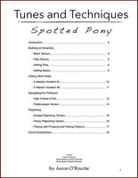 Aaron O'Rourke - Tunes & Techniques - Spotted Pony-Fingers Of Steel-PDF-Digital-Download