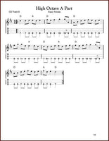 Aaron O'Rourke - Tunes & Techniques - Spotted Pony-Fingers Of Steel-PDF-Digital-Download
