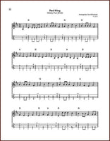 Tom McConnell - Baritone Dulcimer Jam Book-Tom McConnell-PDF-Digital-Download